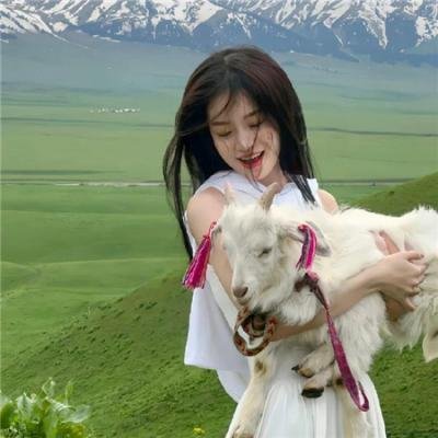 摇滚夏令营 在线观看